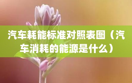 汽车耗能标准对照表图（汽车消耗的能源是什么）