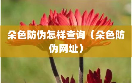 朵色防伪怎样查询（朵色防伪网址）