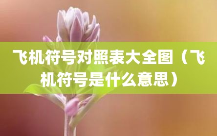 飞机符号对照表大全图（飞机符号是什么意思）