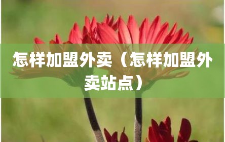 怎样加盟外卖（怎样加盟外卖站点）