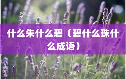 什么朱什么碧（碧什么珠什么成语）