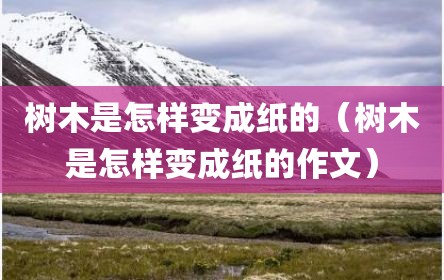 树木是怎样变成纸的（树木是怎样变成纸的作文）