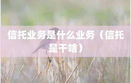 信托业务是什么业务（信托是干啥）