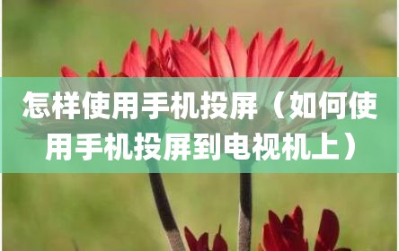怎样使用手机投屏（如何使用手机投屏到电视机上）