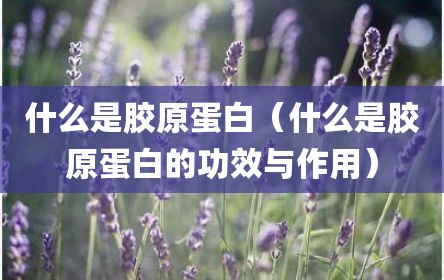 什么是胶原蛋白（什么是胶原蛋白的功效与作用）