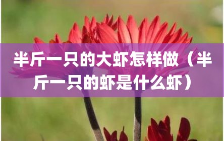 半斤一只的大虾怎样做（半斤一只的虾是什么虾）