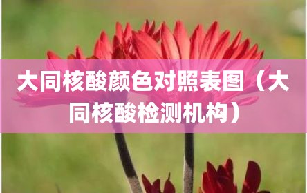 大同核酸颜色对照表图（大同核酸检测机构）