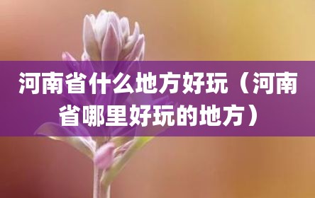 河南省什么地方好玩（河南省哪里好玩的地方）
