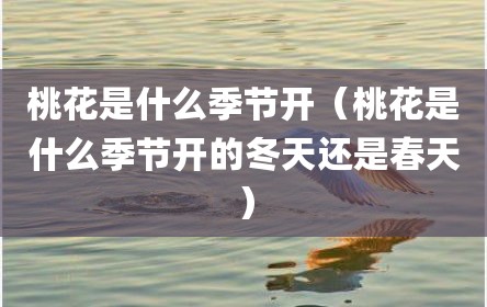 桃花是什么季节开（桃花是什么季节开的冬天还是春天）