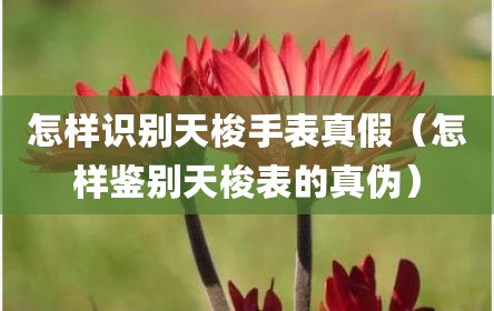 怎样识别天梭手表真假（怎样鉴别天梭表的真伪）