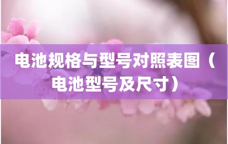 电池规格与型号对照表图（电池型号及尺寸）
