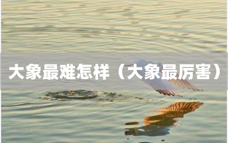 大象最难怎样（大象最厉害）