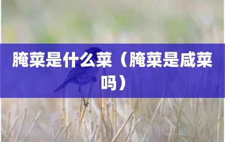 腌菜是什么菜（腌菜是咸菜吗）