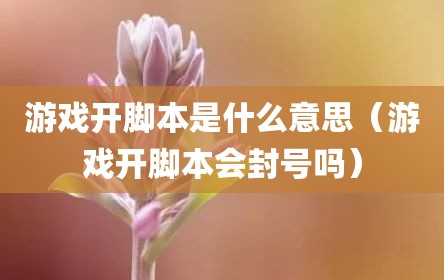 游戏开脚本是什么意思（游戏开脚本会封号吗）