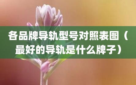 各品牌导轨型号对照表图（最好的导轨是什么牌子）