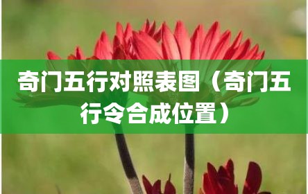 奇门五行对照表图（奇门五行令合成位置）