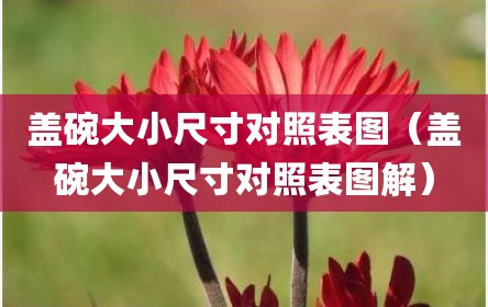 盖碗大小尺寸对照表图（盖碗大小尺寸对照表图解）