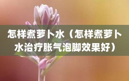 怎样煮萝卜水（怎样煮萝卜水治疗胀气泡脚效果好）