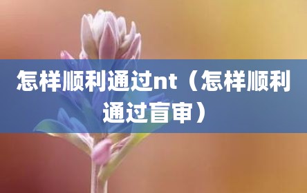怎样顺利通过nt（怎样顺利通过盲审）