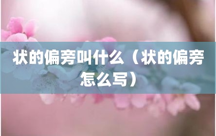 状的偏旁叫什么（状的偏旁怎么写）