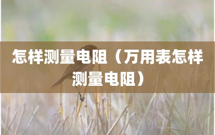 怎样测量电阻（万用表怎样测量电阻）