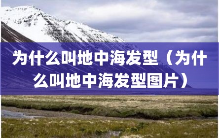 为什么叫地中海发型（为什么叫地中海发型图片）