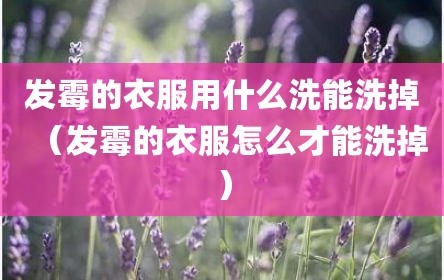 发霉的衣服用什么洗能洗掉（发霉的衣服怎么才能洗掉）