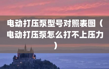 电动打压泵型号对照表图（电动打压泵怎么打不上压力）