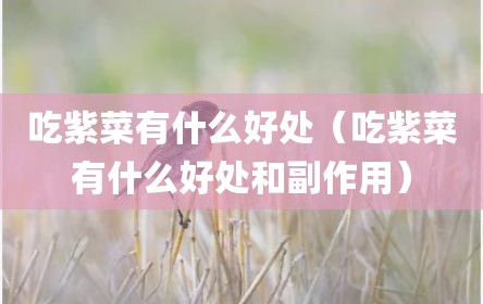吃紫菜有什么好处（吃紫菜有什么好处和副作用）