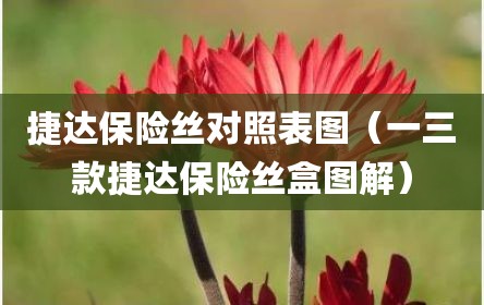 捷达保险丝对照表图（一三款捷达保险丝盒图解）