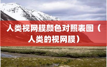 人类视网膜颜色对照表图（人类的视网膜）