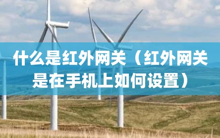 什么是红外网关（红外网关是在手机上如何设置）