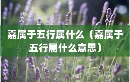 嘉属于五行属什么（嘉属于五行属什么意思）