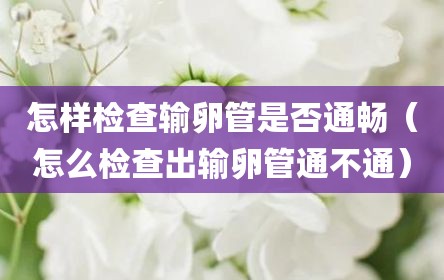 怎样检查输卵管是否通畅（怎么检查出输卵管通不通）