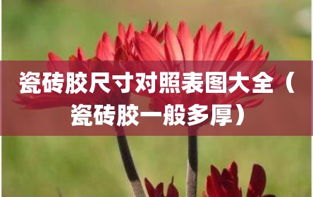 瓷砖胶尺寸对照表图大全（瓷砖胶一般多厚）