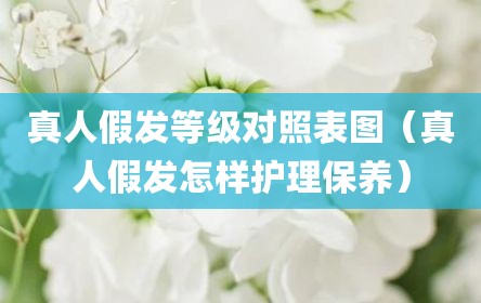真人假发等级对照表图（真人假发怎样护理保养）