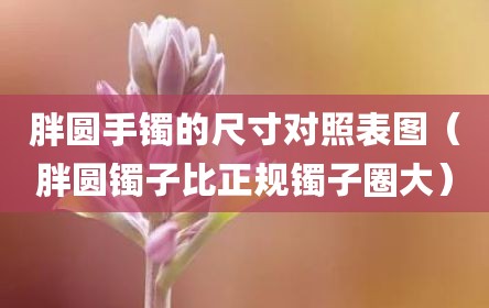 胖圆手镯的尺寸对照表图（胖圆镯子比正规镯子圈大）