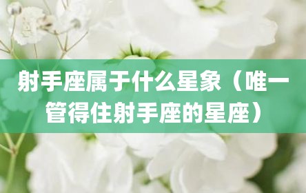 射手座属于什么星象（唯一管得住射手座的星座）