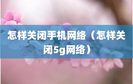 怎样关闭手机网络（怎样关闭5g网络）