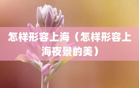 怎样形容上海（怎样形容上海夜景的美）