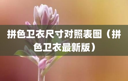 拼色卫衣尺寸对照表图（拼色卫衣最新版）