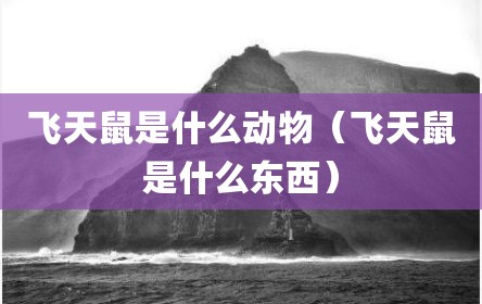飞天鼠是什么动物（飞天鼠是什么东西）