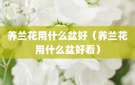 养兰花用什么盆好（养兰花用什么盆好看）