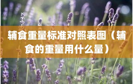 辅食重量标准对照表图（辅食的重量用什么量）