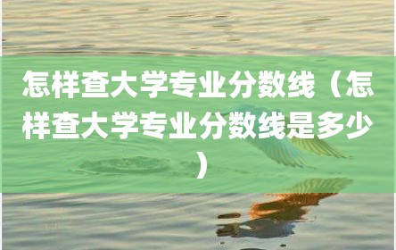 怎样查大学专业分数线（怎样查大学专业分数线是多少）