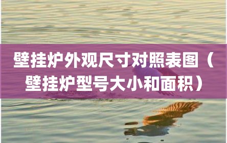 壁挂炉外观尺寸对照表图（壁挂炉型号大小和面积）