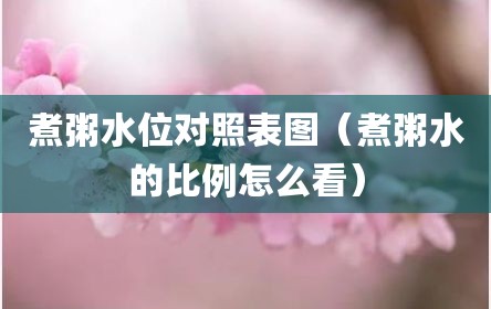 煮粥水位对照表图（煮粥水的比例怎么看）