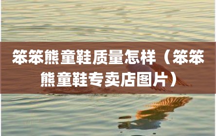 笨笨熊童鞋质量怎样（笨笨熊童鞋专卖店图片）