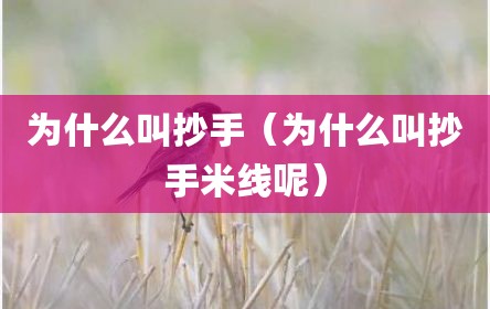 为什么叫抄手（为什么叫抄手米线呢）