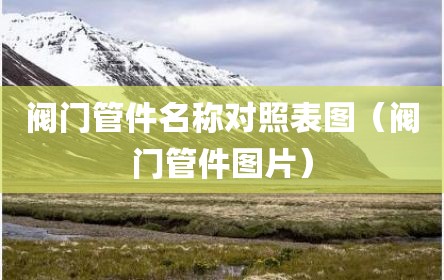 阀门管件名称对照表图（阀门管件图片）